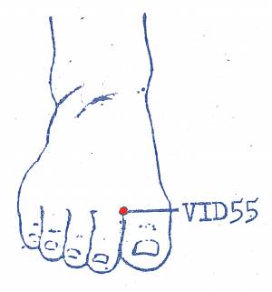 vi-d55.jpg