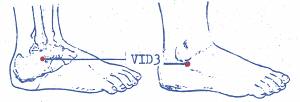 vi-d3.jpg vi-d3.jpg