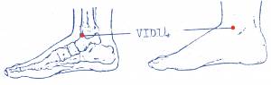 vi-d14.jpg
