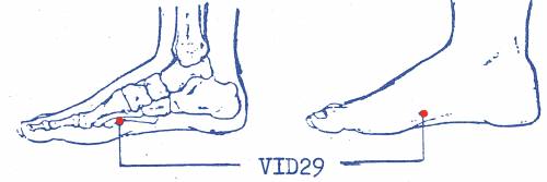 vi-d29.jpg