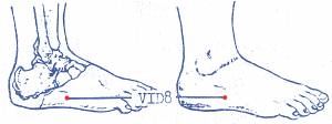 vi-d8.jpg vi-d8.jpg