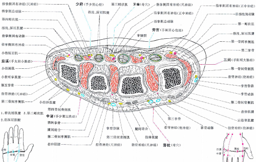 Coupe transversale passant par 8MC 8C 3IG 3TR et Wailaogong - Yan Zhenguo 2002 Coupe transversale passant par 8MC 8C 3IG 3TR et Wailaogong - Yan Zhenguo 2002